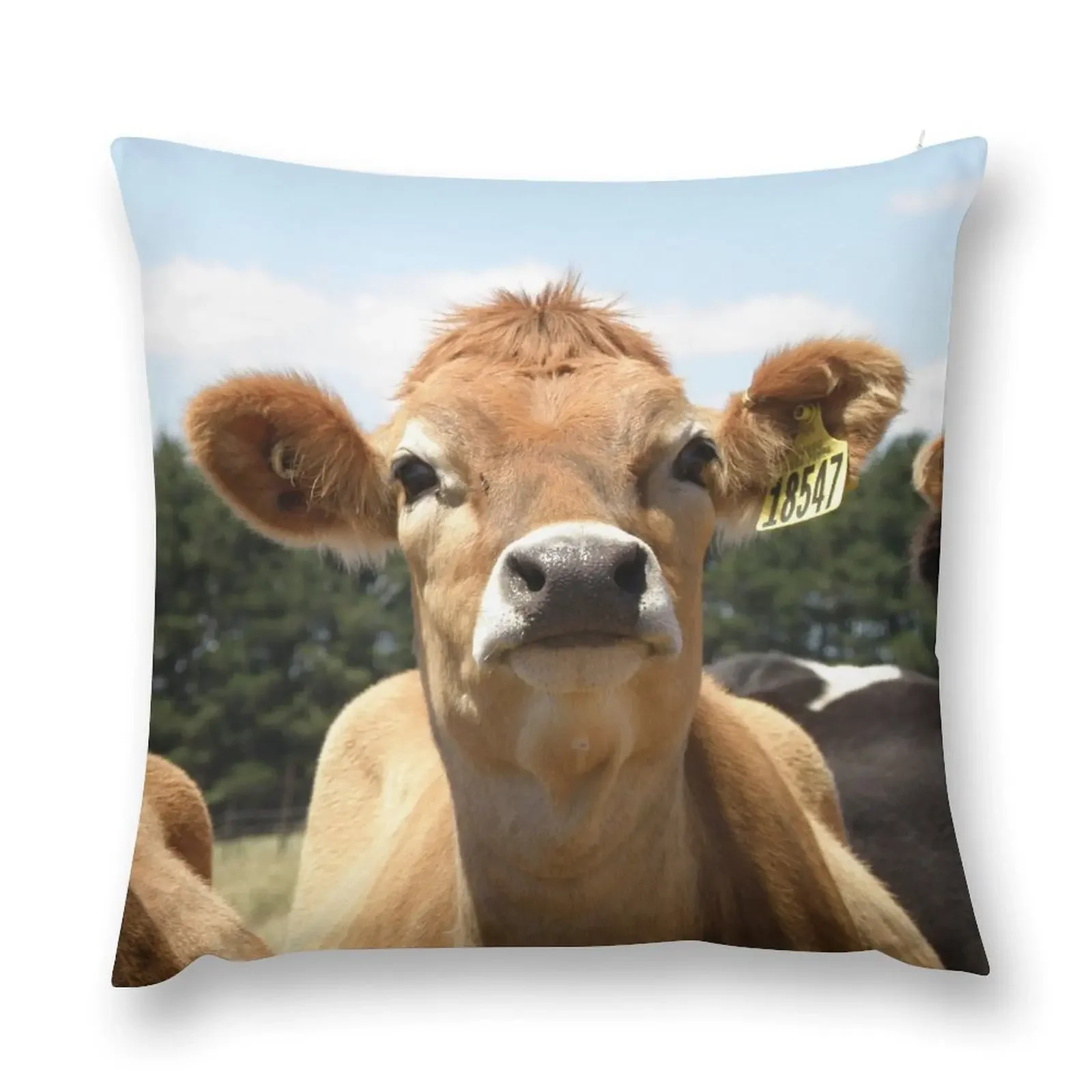 

Tassie cow Throw Pillow Marble Cushion Cover Decorative Sofa Cushions Covers For Sofas pillow