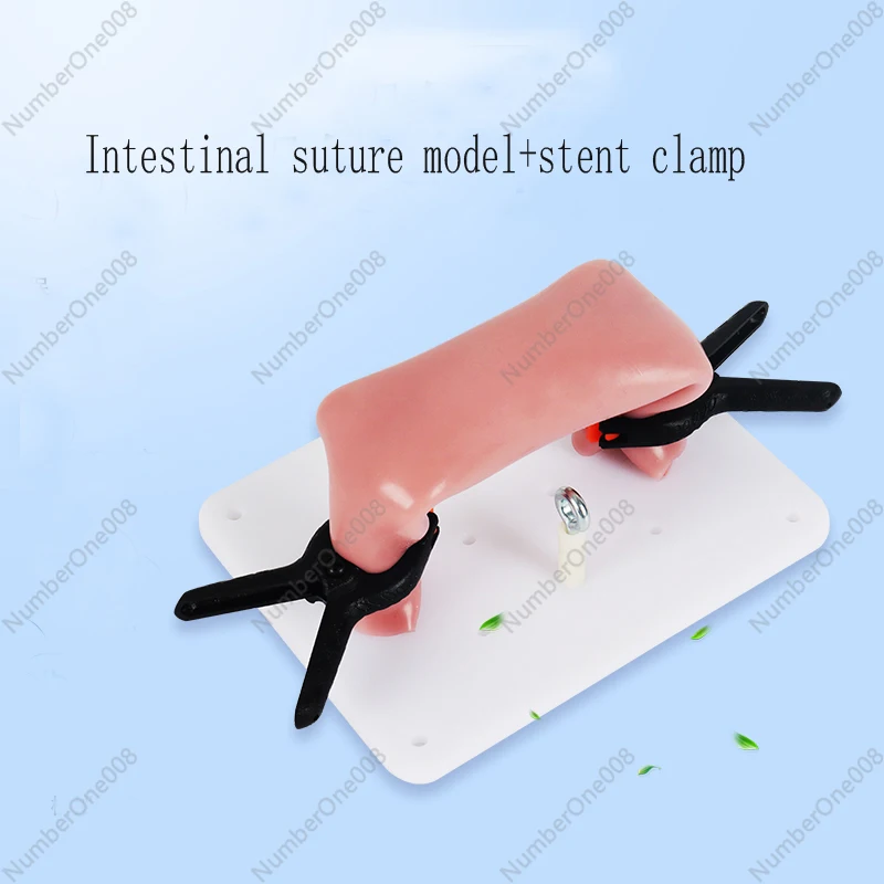 Practice equipment for intestinal suture model and stent clip Laparoscopy anastomosis training module