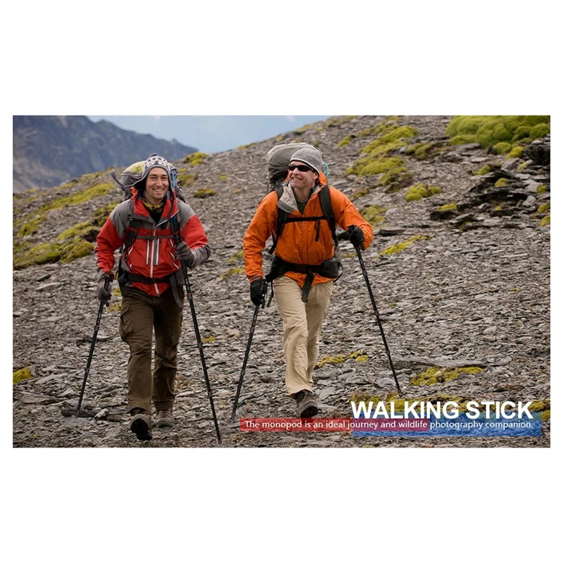 

ABSQ-For Canon Sony Camera Mount Adapter E222 Camera Monopod Aluminium Photography Walking Stick Lightweight For Video Use