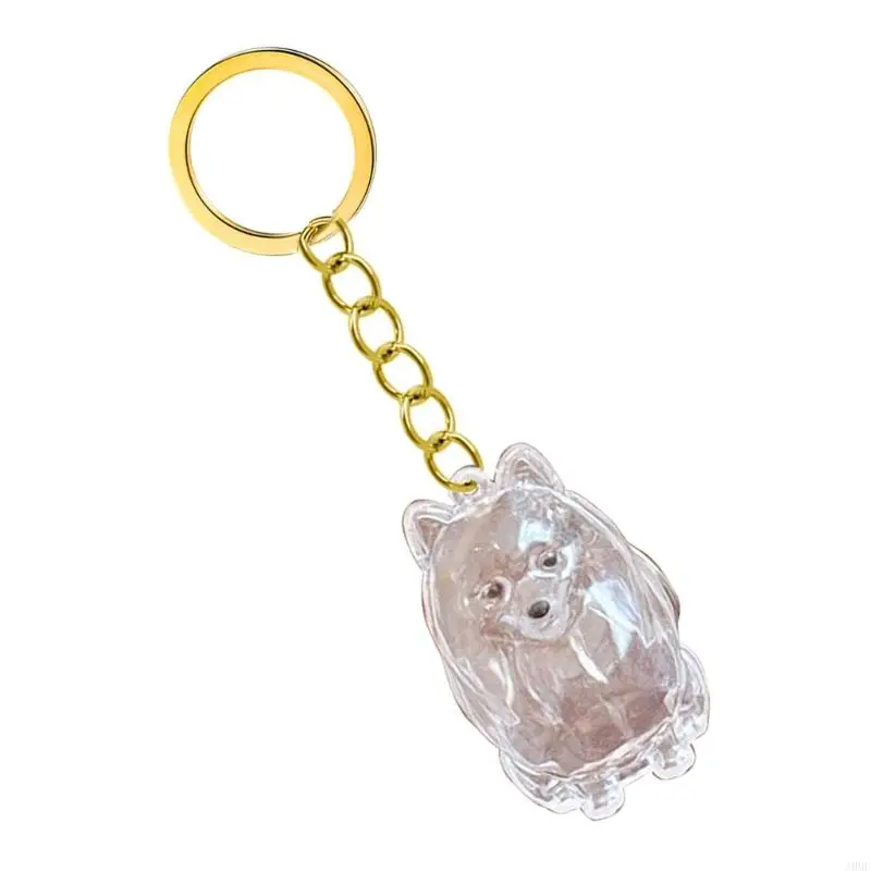 Dog Hair Memorial Box Keychain Clear Display Box Pet Hair Storage Box J0MC