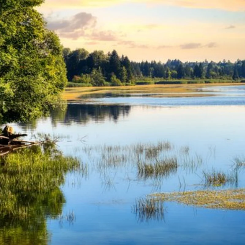 

Комплект передней коробки передач RC TRX4 G2 для 1/10 Trxs TRX-4 Defender Bronco Ford, аксессуары для обновления