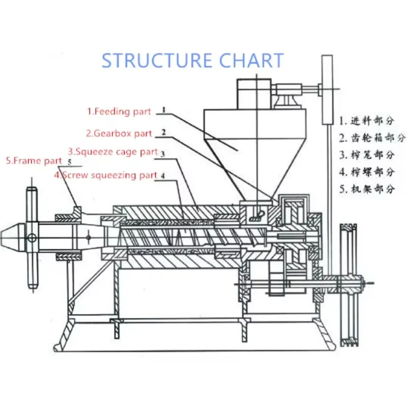 Cold Press Oil Production Line  Palm Oil Extraction Machine for Palm Fruit