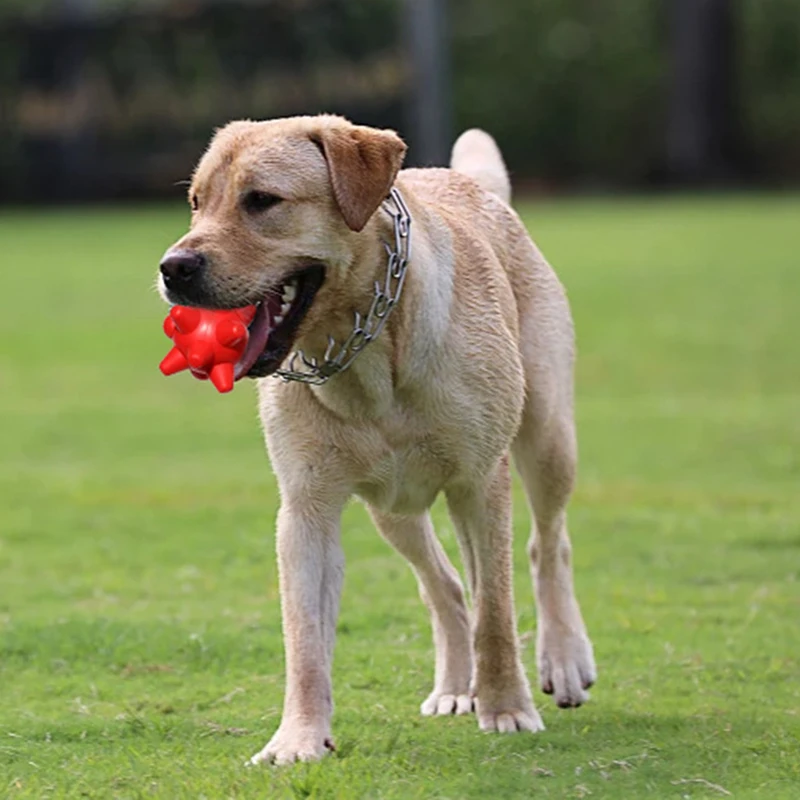 Big Dog Chew Toys Bite Resistant Pet Toy for Small Medium Large Dogs French Bulldog Border Collie Molars Clean Teeth Supplies