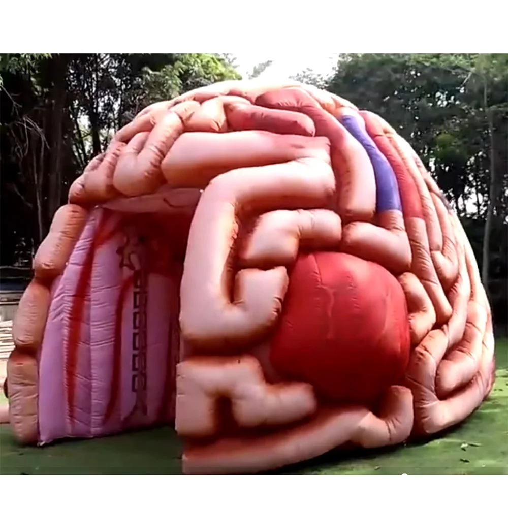 wholesale Lifelike 4m giant inflatable brain model colorful promotional fearful cerebrum tunnel tent for medical display