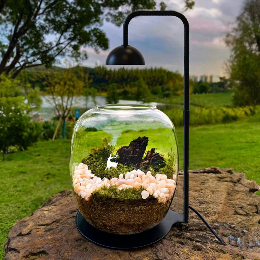 Micro Landscape Plant Growth Lamp with Timmer Small Plants Growth Light Height Adjustable for Desktop Glass Plant Terrarium