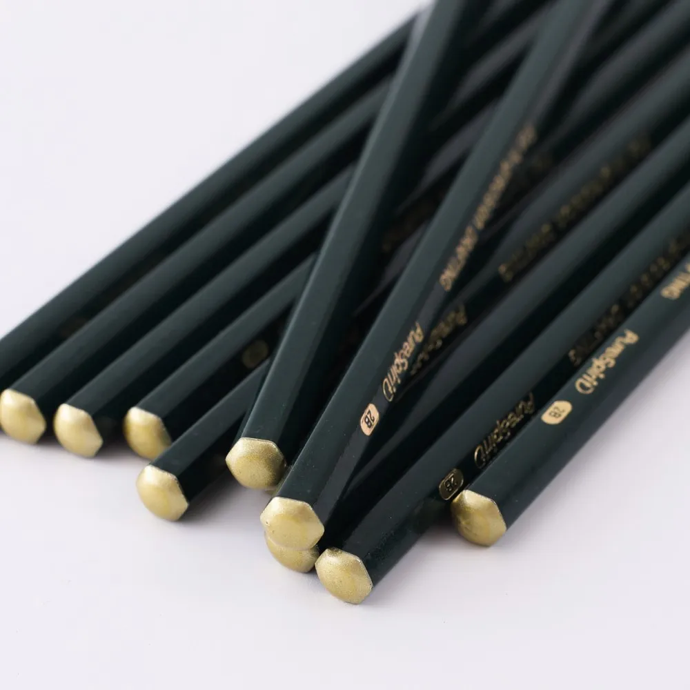 12pcs 2B Graphite Professional Drawing Pencils Sketch Pencil Black Lead Pencils for Sketching