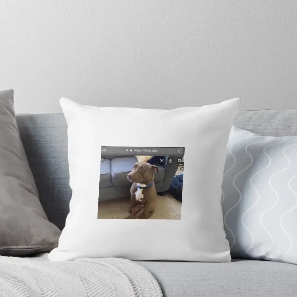 

dog sitting gay Throw Pillow Decorative pillowcase pillows decor home Pillow Decor bed pillows pillow