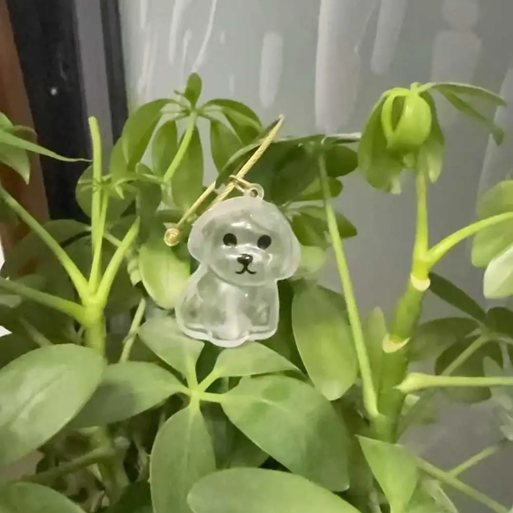 جرو الشعر التذكاري تذكار كبسولة الحيوانات الأليفة الكلب/القط الفراء الحاويات الحيوانات الأليفة الشعر تخزين المفاتيح ديكور عشاق الحيوانات الأليفة الحيوانات الأليفة الهدايا التذكارية