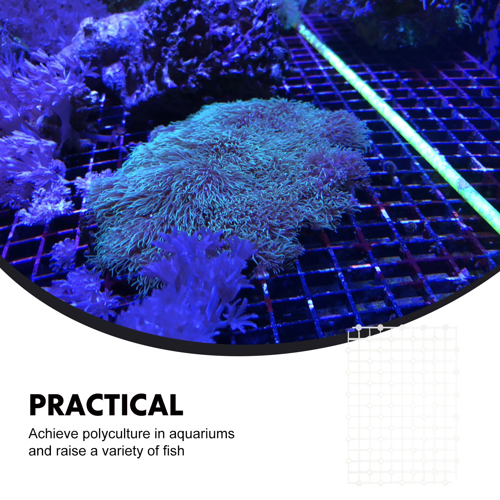 2 قطعة لوحة فلتر حوض السمك مقسم خزان احترافي مادة متينة تنظيف فعال تصميم متعدد الفتحات قطع سلسة