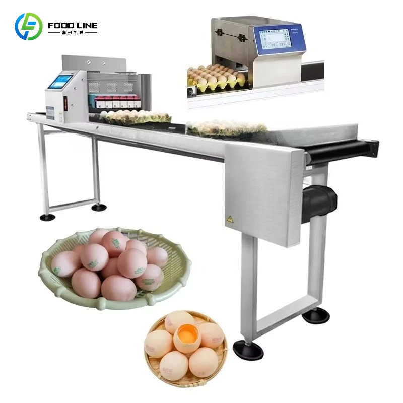 Date Egg Stamping Egg Tray Production Code Date Inkjet Printing Machine Egg Printer Customized