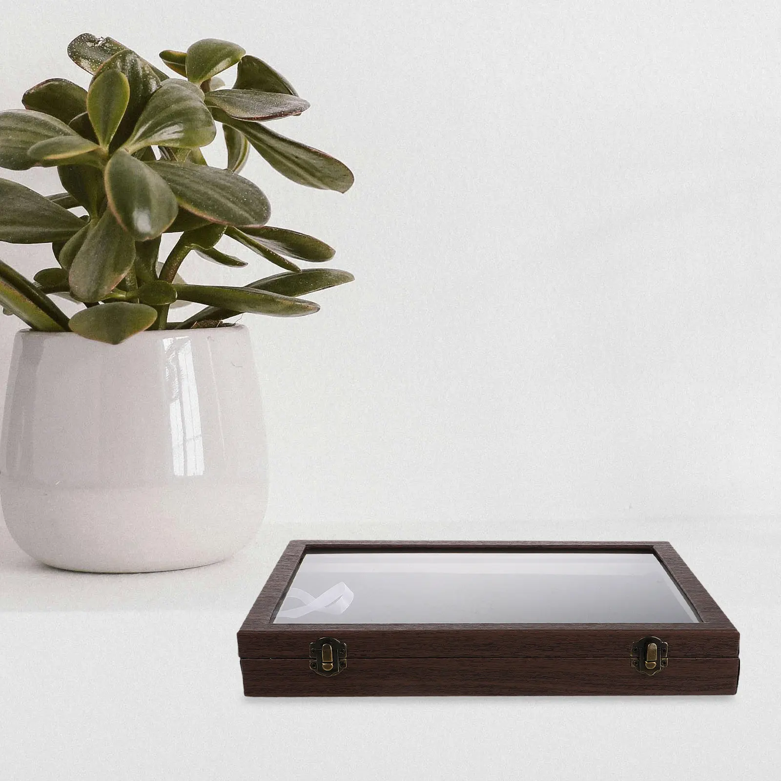 

Large Capacity Badge Storage Box Transparent Lid Medal Organizer Brooch Pin Display Case Jewelry Box Pin Display Case