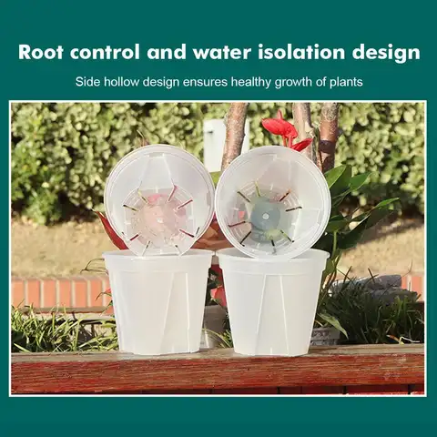구멍이 있는 투명 플라스틱 난초 화분, 다육 식물, 통기성 뿌리 제어 대야, 녹색 산 대야