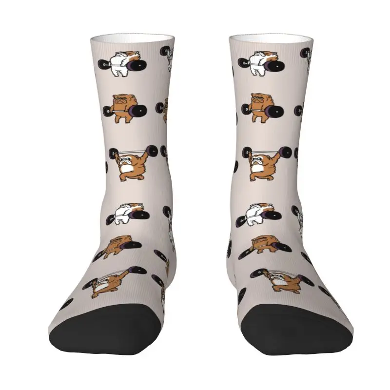 Cute English Bulldog Weightlifting Men Women Crew Socks Unisex Fun 3D Print British Pet Dog Lover Dress Socks