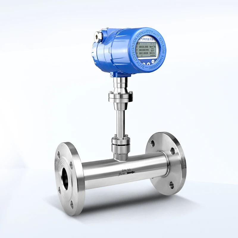 Immagine 7: Misuratore di Flusso di Massa Termico Digitale ad Alta Precisione per Gas e Aria