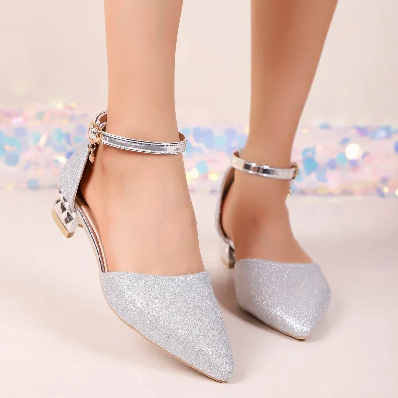 Ballroom Dancing Shoes for Women sandals Shoes Lady Pumps Closed Toe Salsa Heels Women Shoes Low Heel Zapatos Baile Latino Mujer