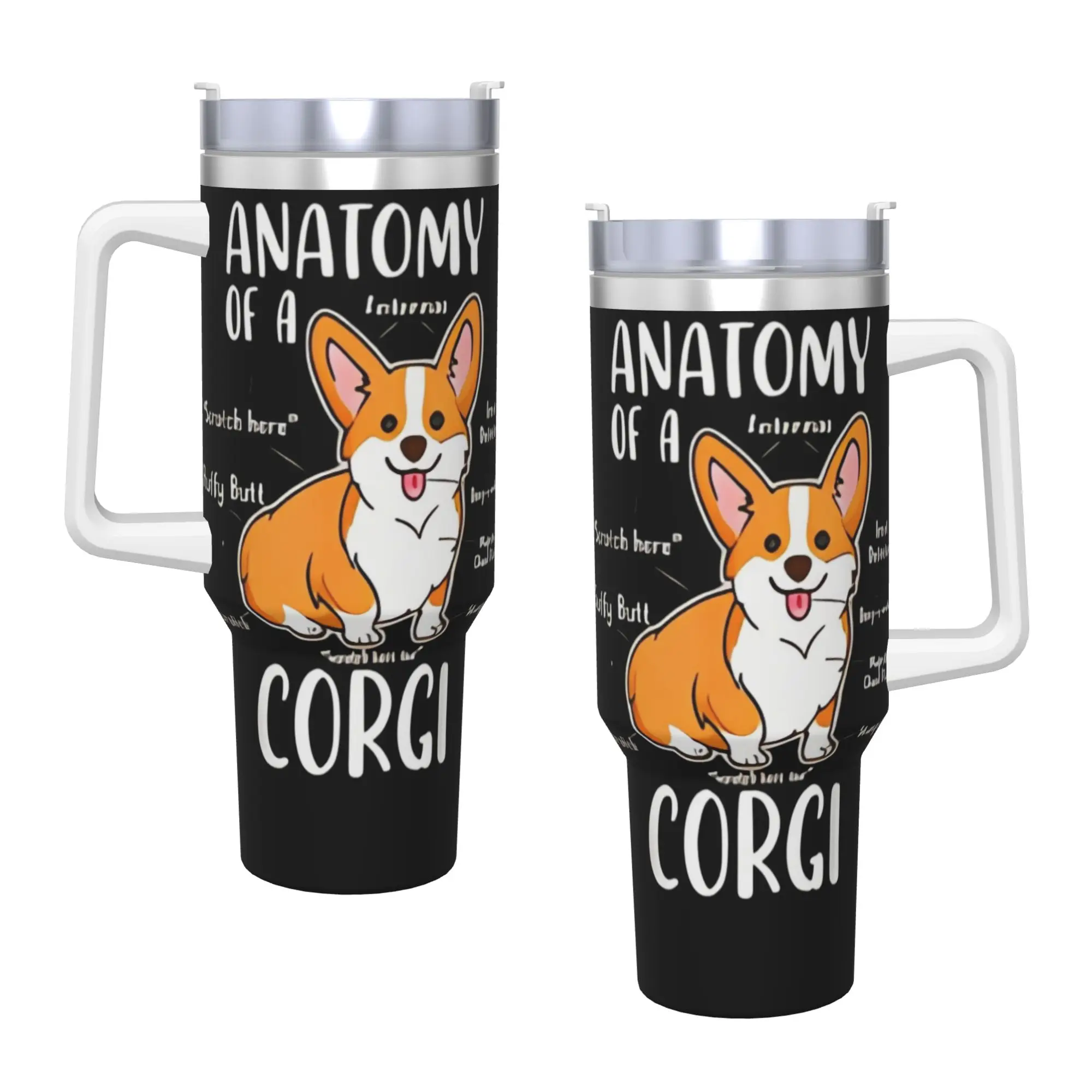Stainless Steel Tumbler Newest Printed Tops Anatomy Of A Corgi Funny Dog Graphic Car Mugs With Straws Cold Water Thermal Mug
