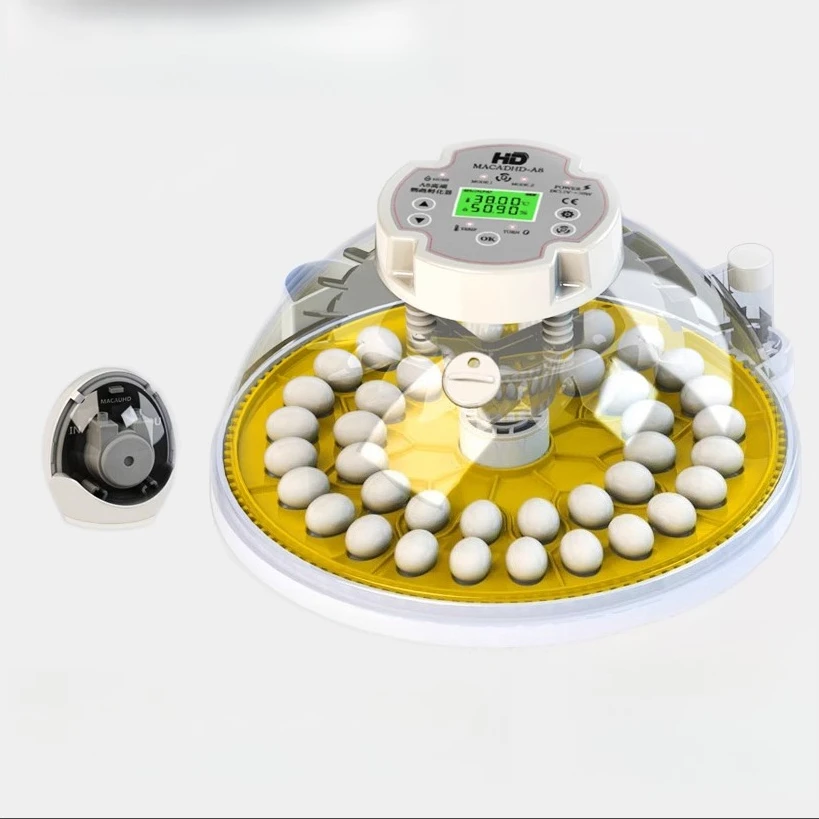 Automatic household parrot special incubator constant temperature incubation and insulation integrated incubator incubator