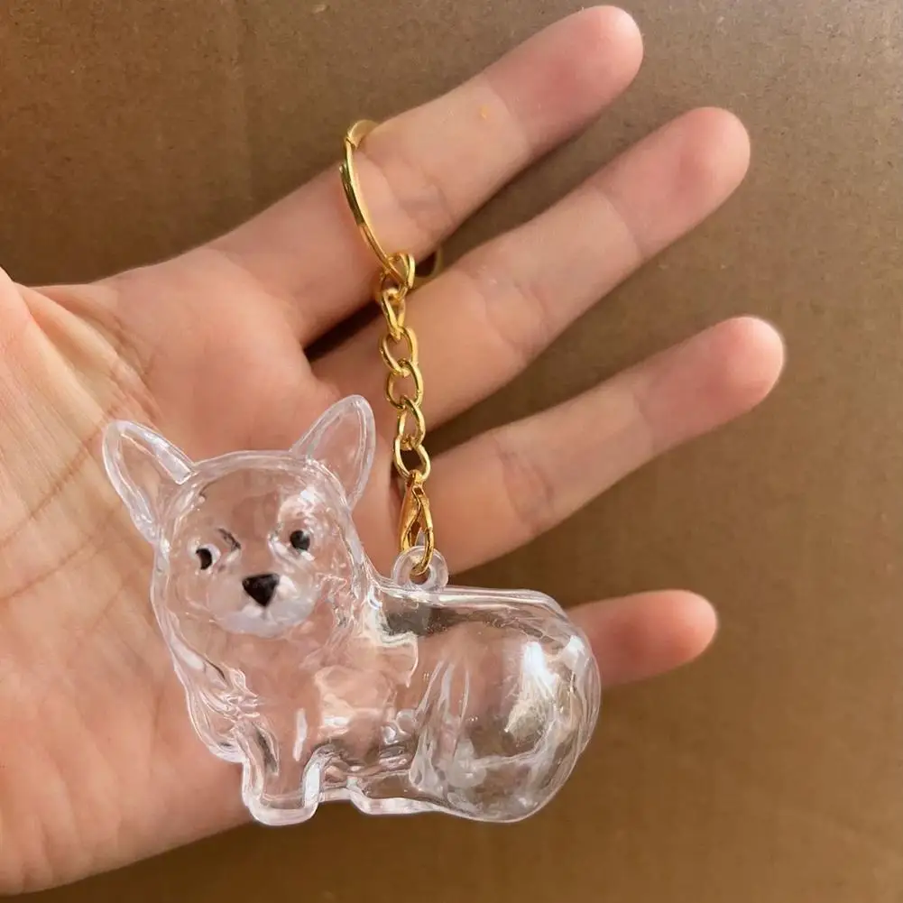 Aufbewahrungsbox für Hundehaare, Tierfellbehälter, Schlüsselanhänger, transparente Kapsel, Andenken, Gedenkgeschenk für Hunde, Trauermittelanhänger für den Verlust eines Haustiers – Detail 26