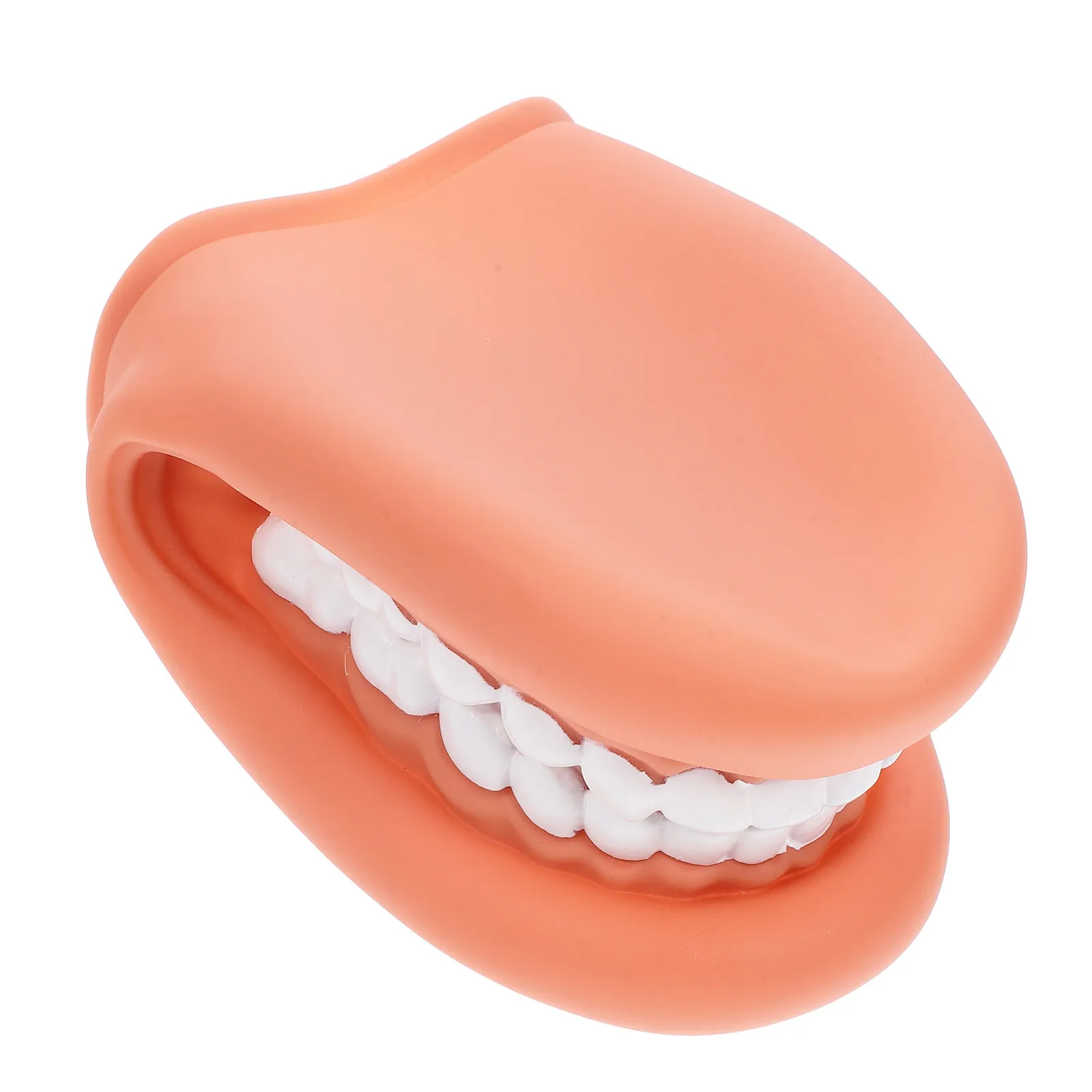 

Teeth Teaching Artificial Educational Human Tooth Brushing Demonstration Dental Practice Teeth Teaching Model