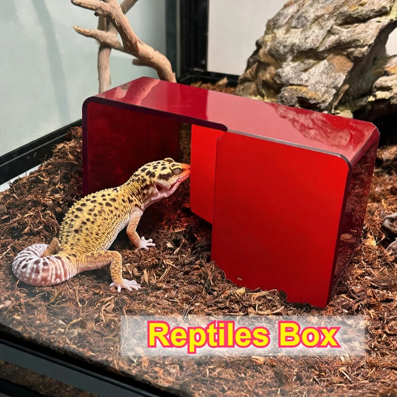 Gecko Lighting & Decor - Kotak Reptil Akrilik Merah, Dekorasi Habitat,