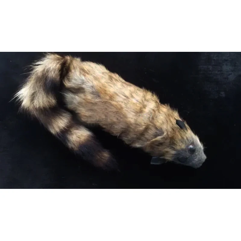 Wholesale 5 Pcs/Lot… - image