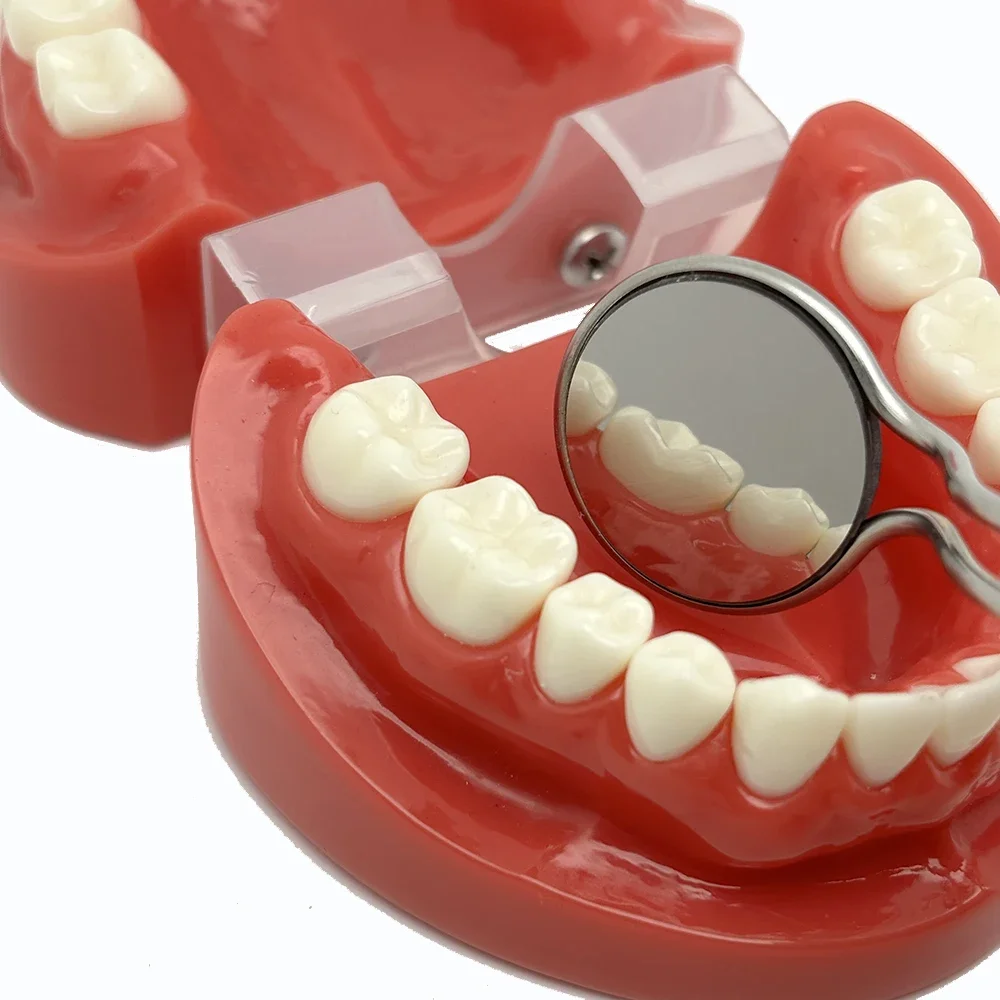 Anti-Fog Rhodium Coated Double-Sided Dental Mouth Mirror with Ergonomic Handle Reusable Oral Examination Tool