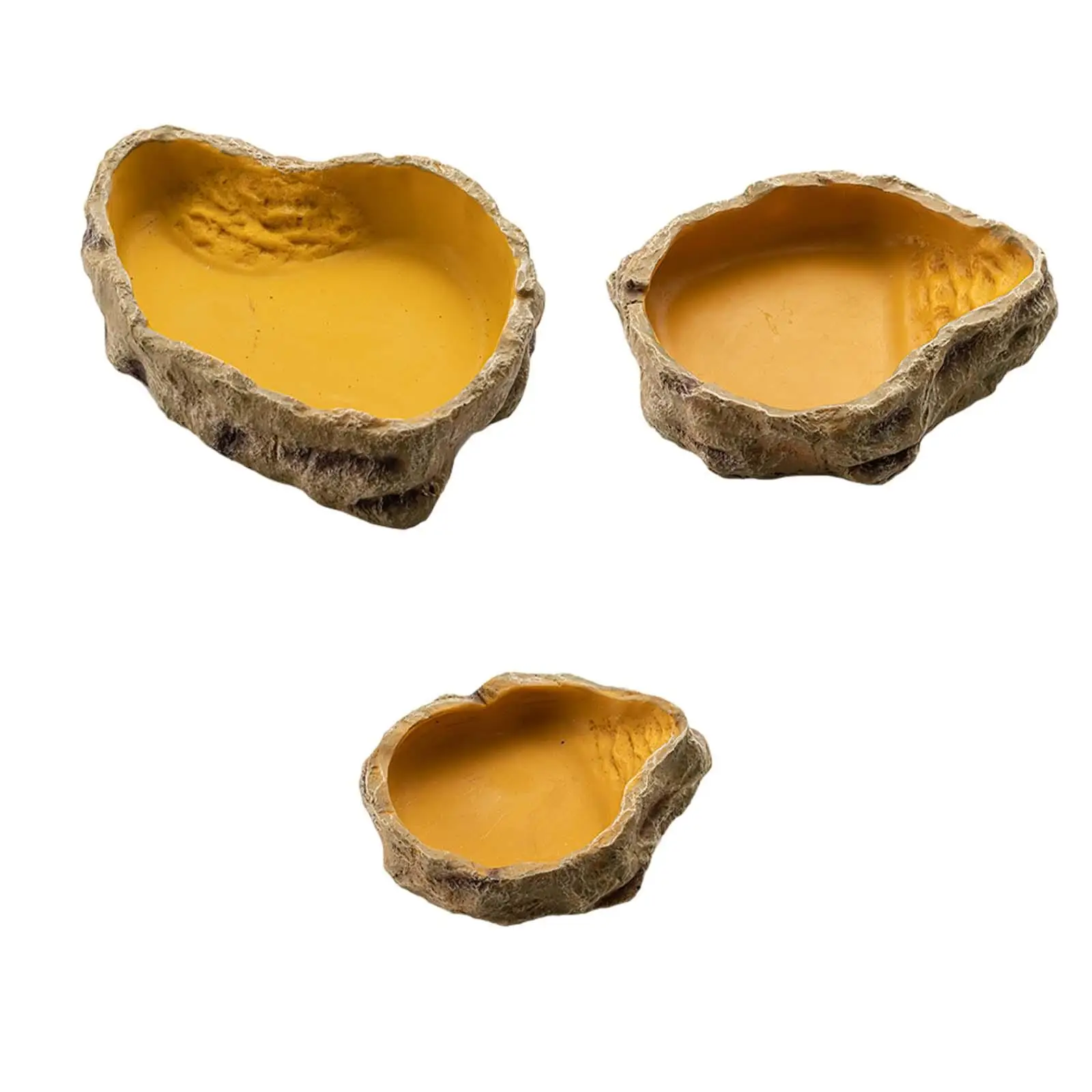 Water Basin Turtle Habitat Multifunction Easy to Feeding Breeding Box Aquatic Pet Case Clownfish Terrapin Tools Tortoises Frog