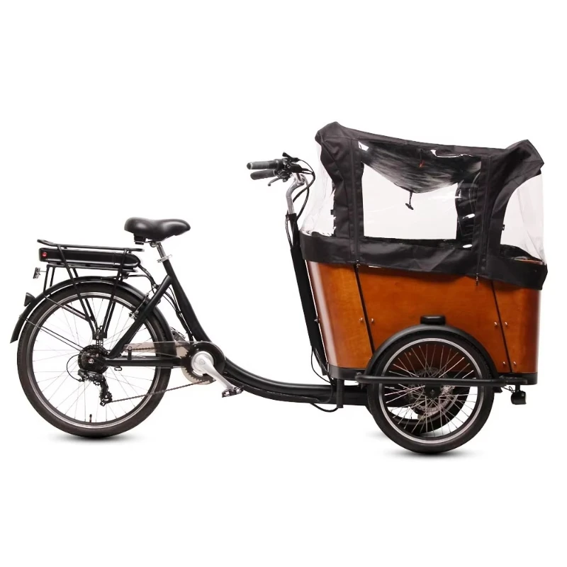 7-Speed 36V 13AH Lithium Battery Powered Bakfiets 3-Wheel Cargo Bike for Home Use Electric Cargo Tricycle