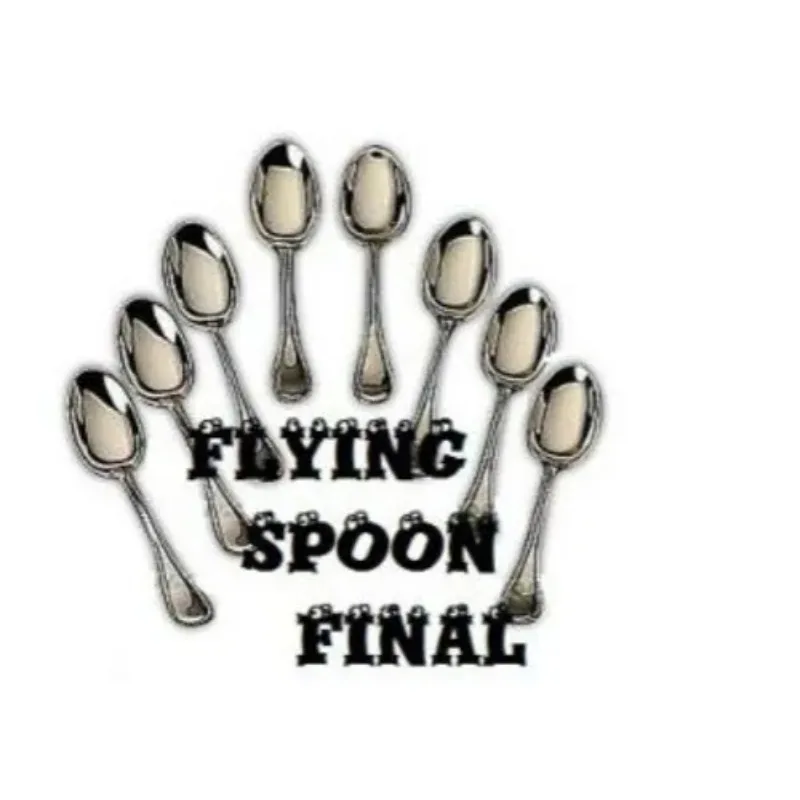 

Flying Spoon Final (With DVD) Magic Tricks,Close Up Magic,Stage,Mentalism Magic,Floating,Illusions,Street Magia Magician Toys