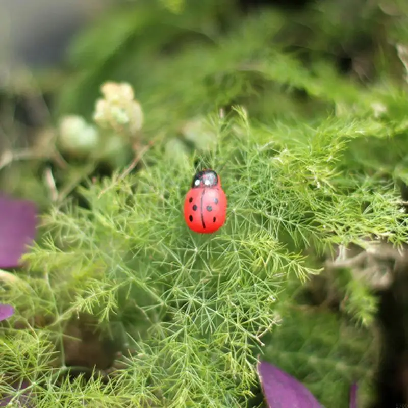 97qd 10pcs mini coccinella coccinella per bambole ornamenta arredamento da giardino