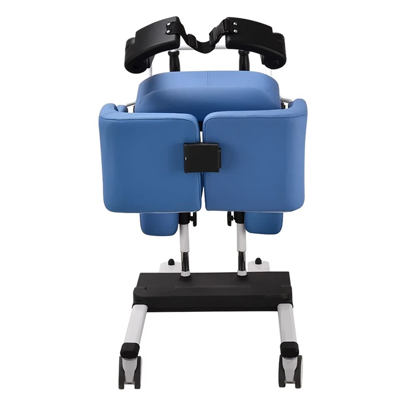 Multifunctional Lift Toilet Chair Lift With Commode Shower Wheelchair lifting machine