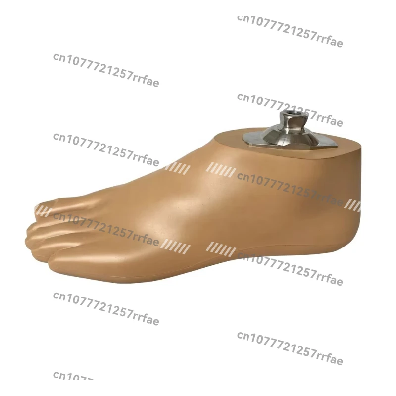 

Advanced Carbon Fiber Energy Storage Sach Foot Prosthesis With Sach Foot