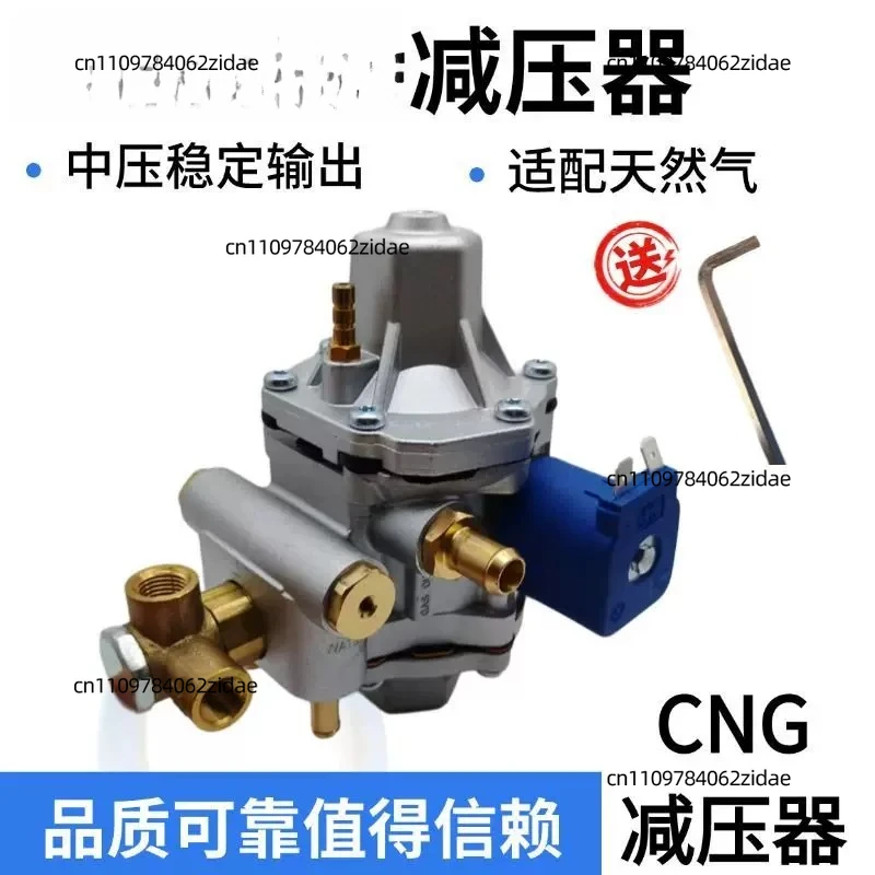 For CNG Reducer LPG Pressure Regulator Auto Petrol To Gas Dual Fuel Conversion Replacement Parts