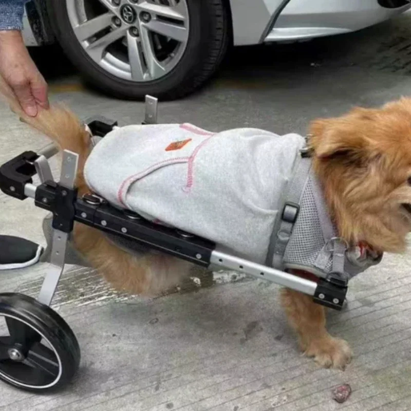 Hunderollstuhl für Verlammung in Hinterer Gliedmaßen, Rehabilitationswagen für kleine Welpen, unterstütztes Gehen für Katzen und Teddy