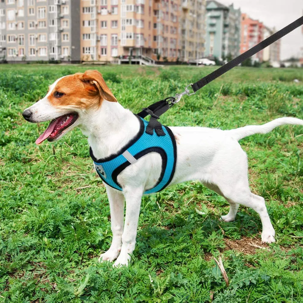 Arnés de malla transpirable para gato y perro pequeño, correa para cachorro, Bulldog Francés, Chihuahua, Pug