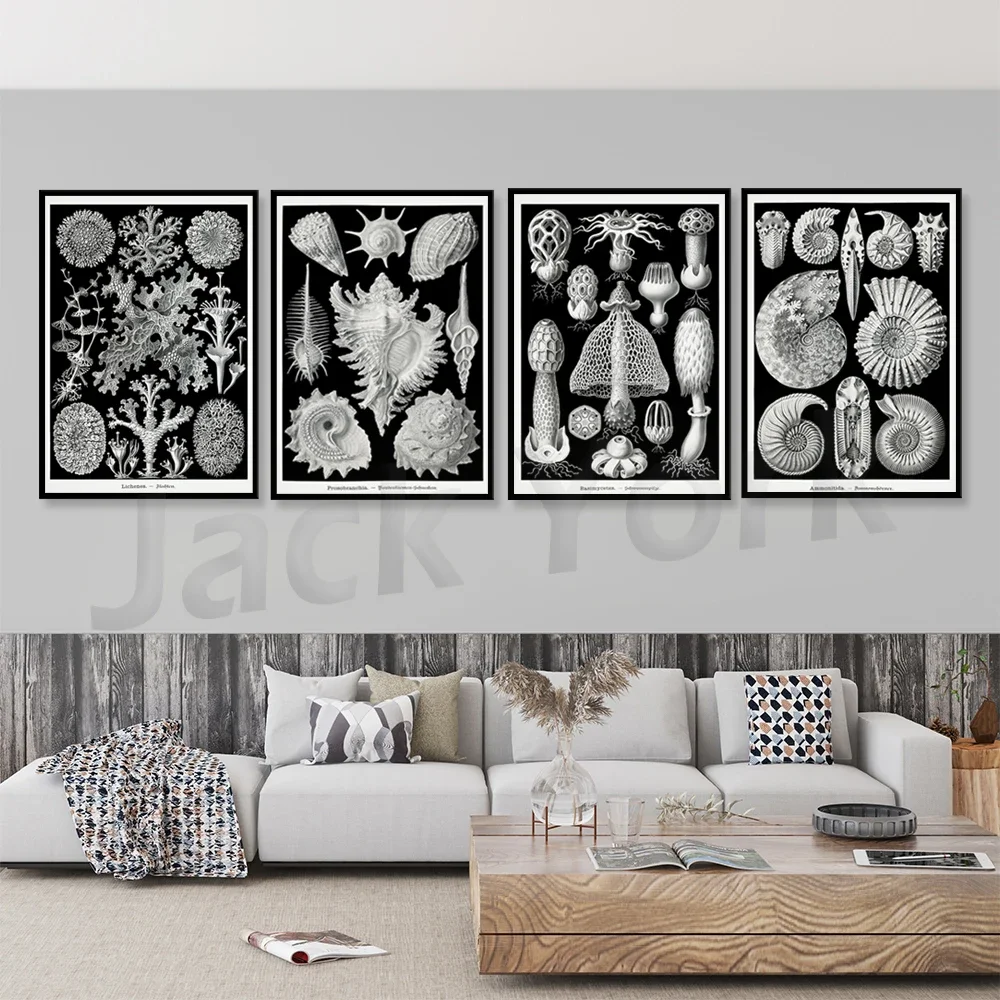 Vintage Gallery Wall Set, Shell Poster, Printable wall art, Coastal Art Print, Nautical Prints,