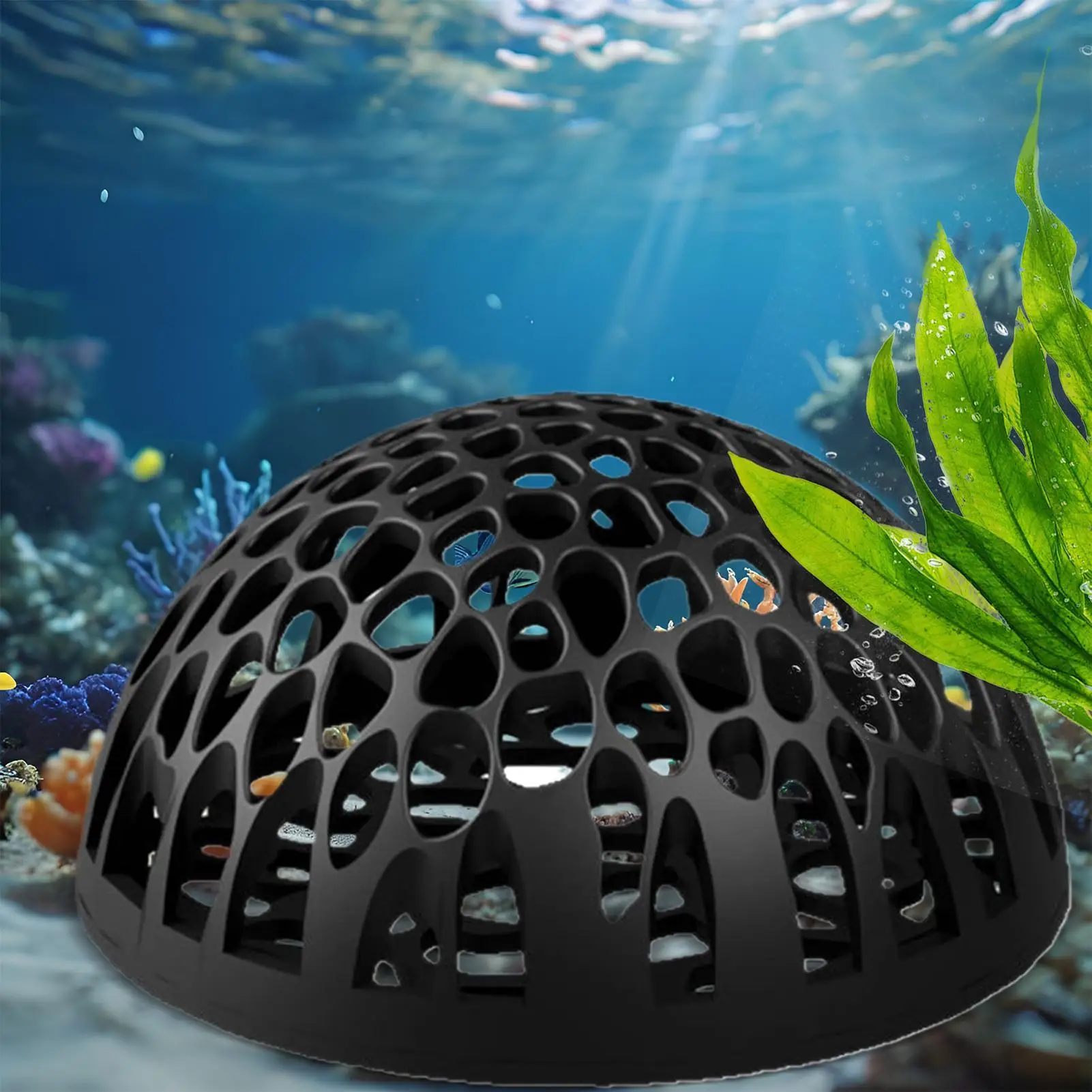 Cúpula de camarones oculta Betta, lugar oculto para pecera, descanso de camarones, adorno de tanque de refugio de cría para Guppy, peces pequeños, 2 uds.