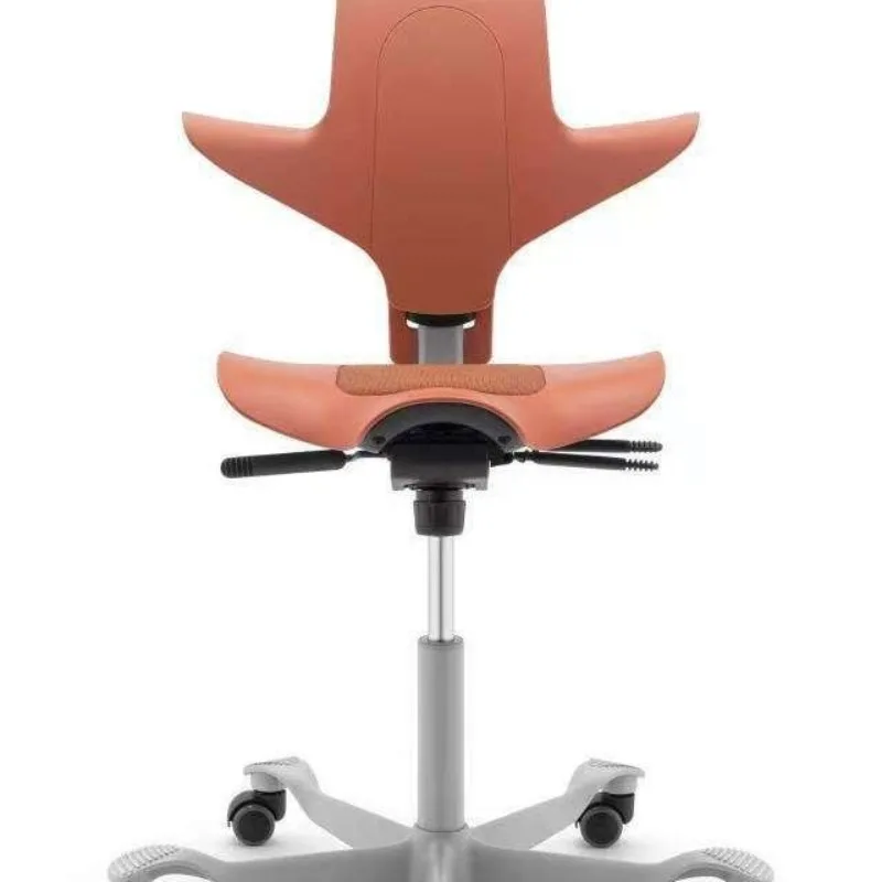 Saddle Riding Computer  Study  Riding  Computer  Children's Study