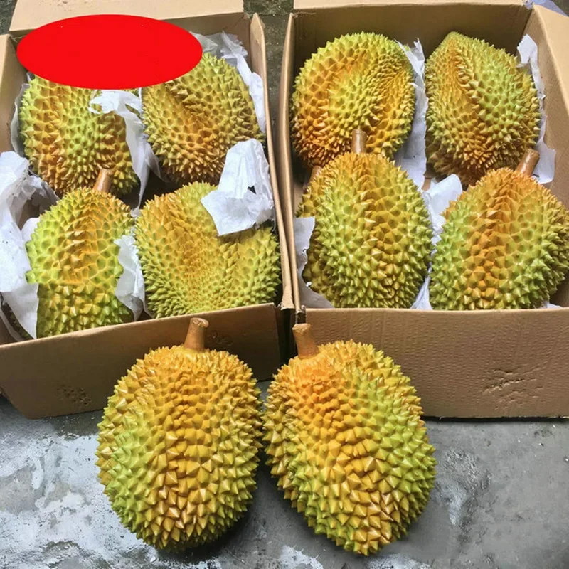 Artificial Fruits Durian Model, Simulation Food, Vegetables Early Educational Toy, Photo Props, 30cm, 1Pc