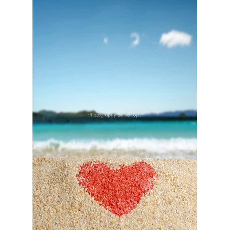 ZHISUXI 여름 열대 바다 해변 야자수 사진 배경, 풍경 사진 배경, 포토콜 사진 스튜디오 CXZM-03