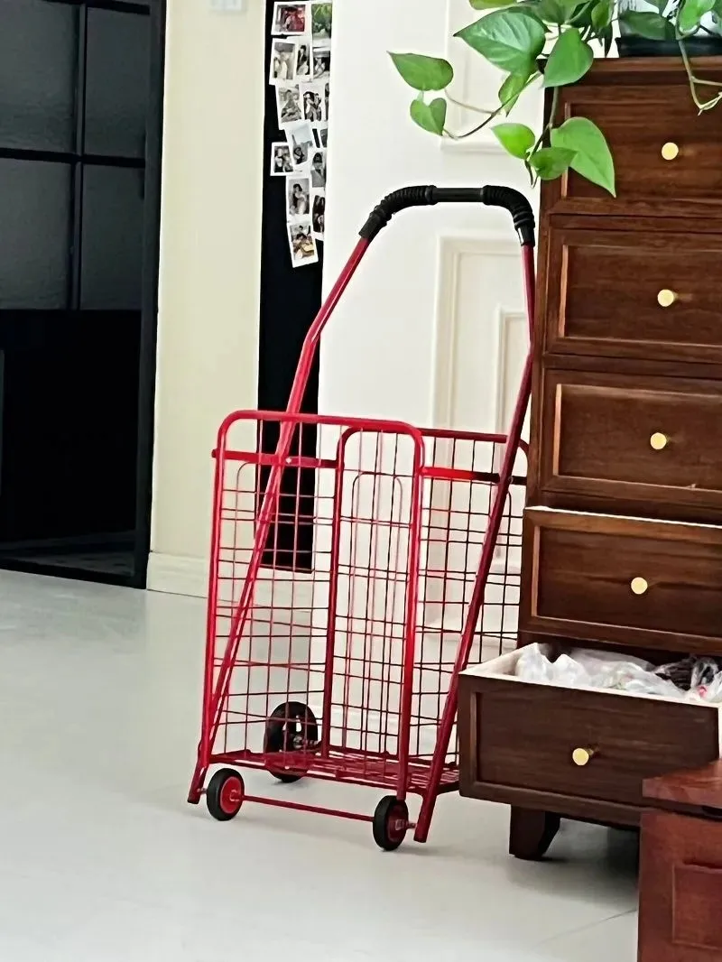 carrello-pieghevole-portatile-per-la-spesa-carrello-leggero-saliscale-per-anziani-ideale-per-la-spesa-e-il-trasporto-di-verdure