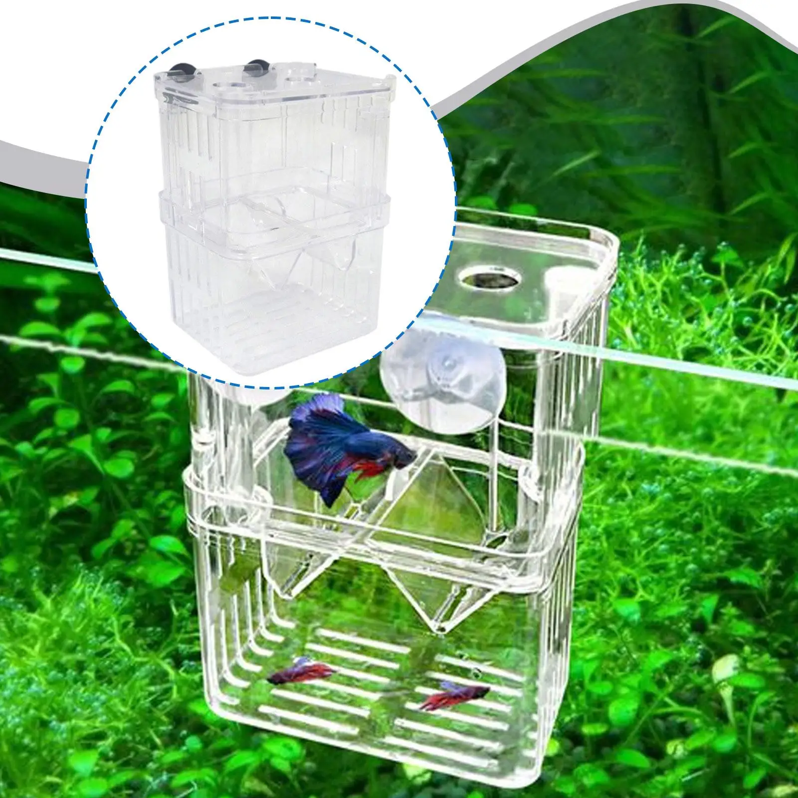 

Коробка для аквариумных рыб, пластиковая изоляционная инкубатория, многофункциональные аксессуары для аквариума