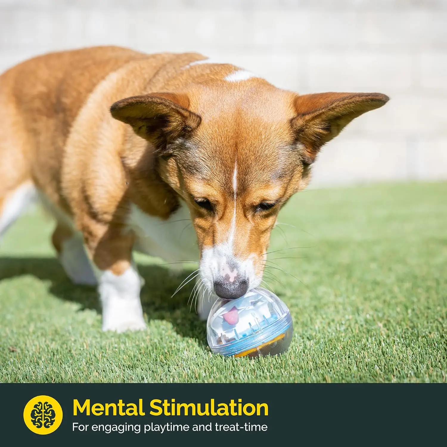 Pet Zone IQ Treat Ball Interaktiver Hundeball, langlebig, langsamer Futterspender, für alle Hunderassen, Spielzeug, um den Beschäftigt und die Bereicherung zu halten