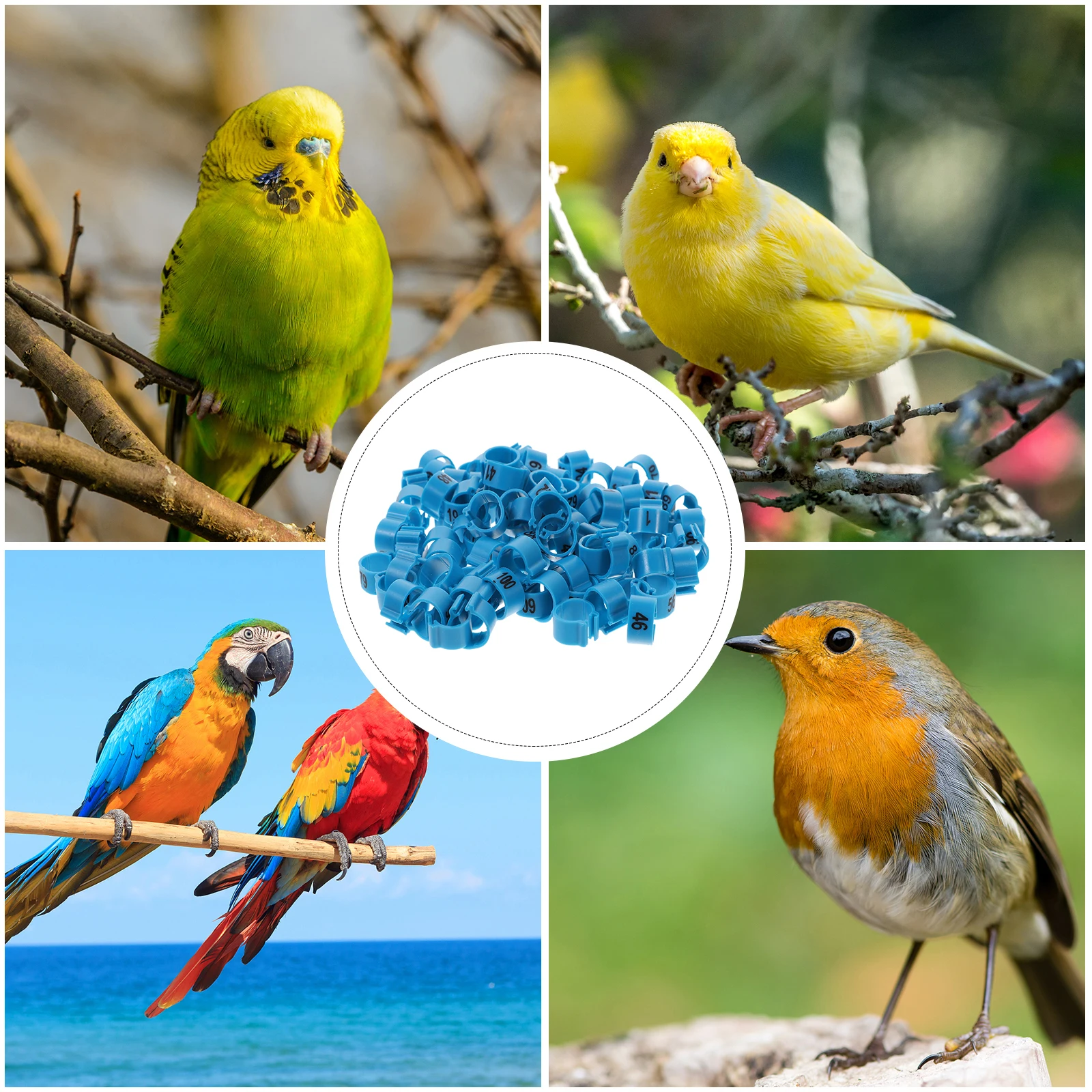 

100Pcs Pigeon Leg Rings Reusable Aluminum Identification Bands Private Markers Suitable for Poultry Bird Pet Supplies