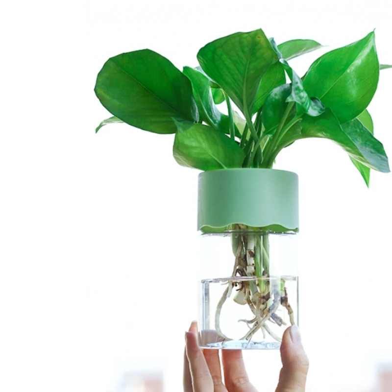 Home Vase Decor Transparent Imitation Glass Soilless Plant Pots Green Plants Pot For Home Decoration Mini Hydroponic Flower Pot