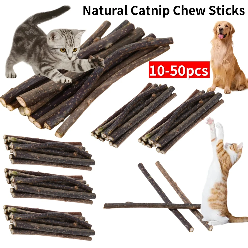 10-50 pçs gato catnip brinquedos varas naturais para gatos pet dentes limpeza brinquedo gato mastigar brinquedo gatinho silvervine varas suprimentos para animais de estimação