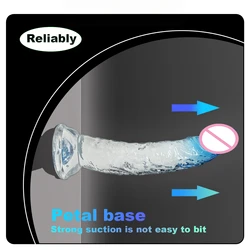 Realistic Dildo with Strong Suction Cup Erotic Jelly Dildo Sex Toys for Woman Artificial Penis G-spot Simulation Anal Butt Plug