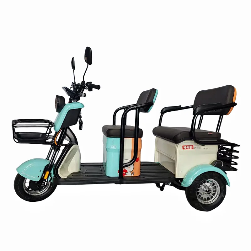 500W Tricycle Electric Bike Three Wheel Electric Motor Bike Two Seat Tricycle for Adults