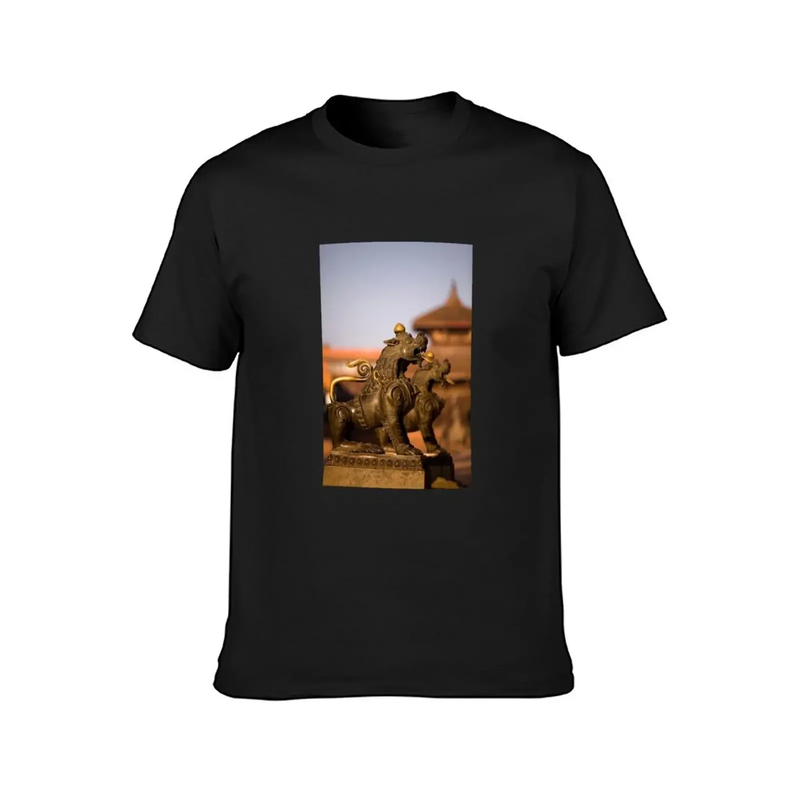 Bhaktapur Durbar Square Nepal T-Shirt summer clothes plus sizes quick-drying oversized mens vintage t shirts