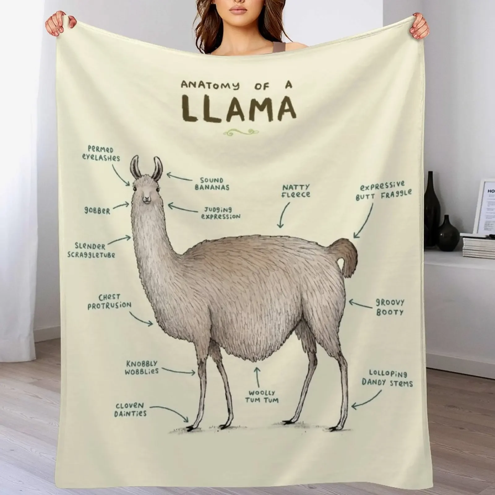Anatomy of a Llama Throw Blanket Warm Comfortable Blanket for Office Napping